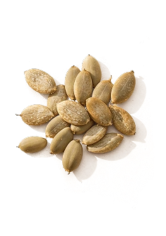 Pumpkin Seed Extract
