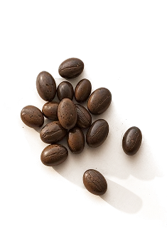 Saw Palmetto