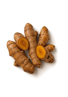 Turmeric Extract